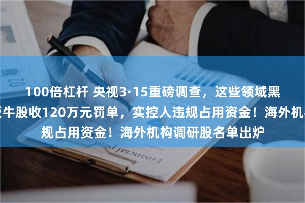 100倍杠杆 央视3·15重磅调查，这些领域黑幕重重！七天六板牛股收120万元罚单，实控人违规占用资金！海外机构调研股名单出炉