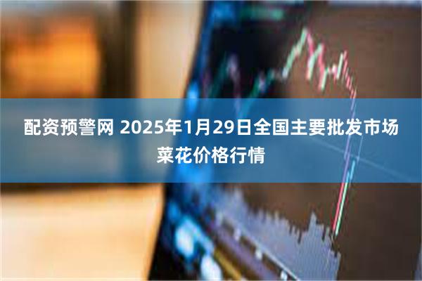 配资预警网 2025年1月29日全国主要批发市场菜花价格行情