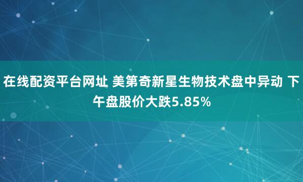 在线配资平台网址 美第奇新星生物技术盘中异动 下午盘股价大跌5.85%