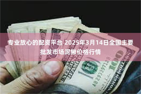 专业放心的配资平台 2025年3月14日全国主要批发市场泥鳅价格行情