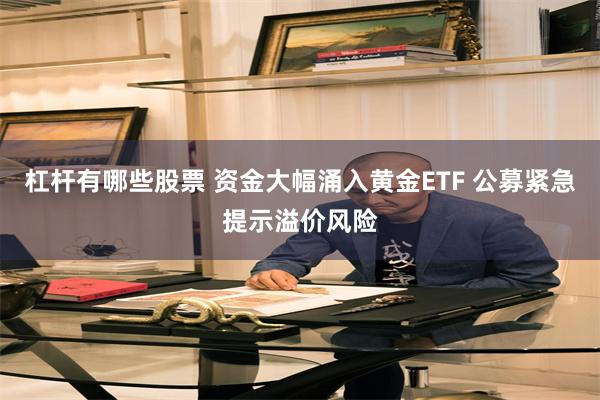 杠杆有哪些股票 资金大幅涌入黄金ETF 公募紧急提示溢价风险