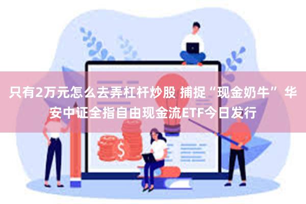 只有2万元怎么去弄杠杆炒股 捕捉“现金奶牛” 华安中证全指自由现金流ETF今日发行